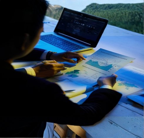 Professional Web Design and Development