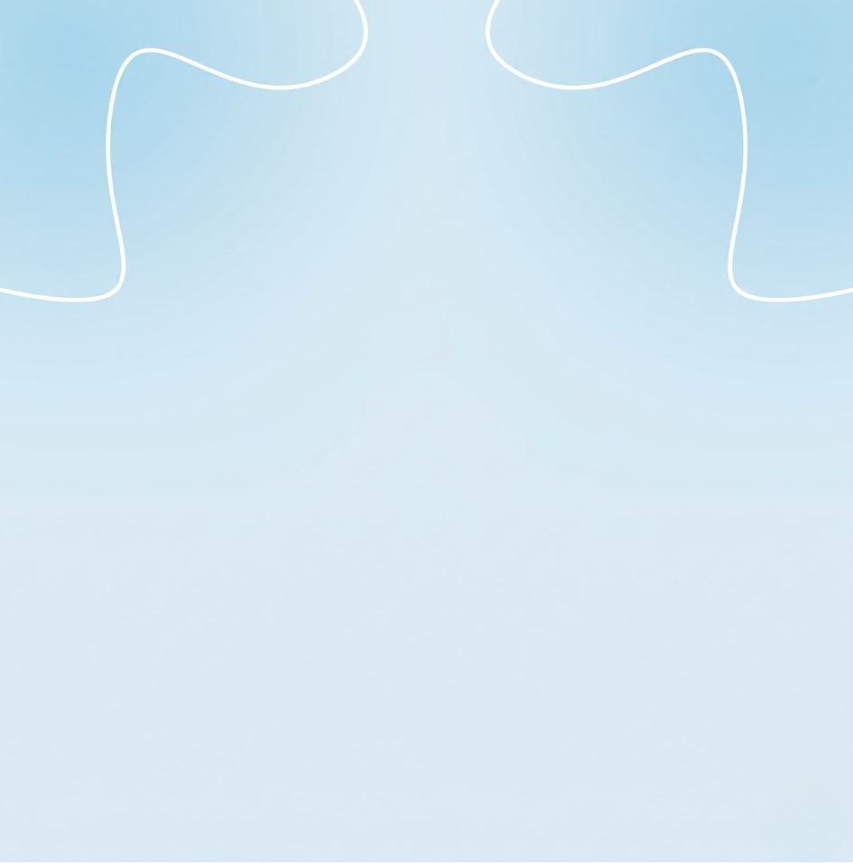 Website Designing